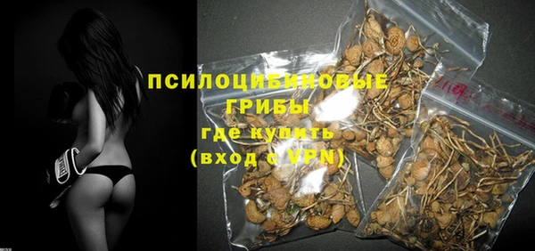 гашик Бронницы