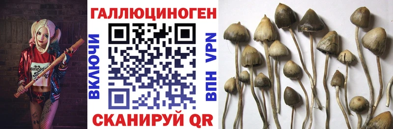 Псилоцибиновые грибы MAGIC MUSHROOMS shop состав Нолинск